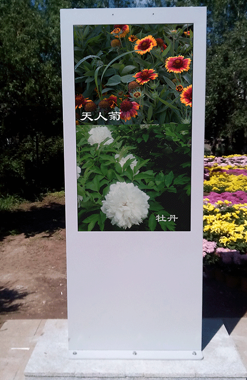 1497271476220965.png 57ecd9c7da244.png